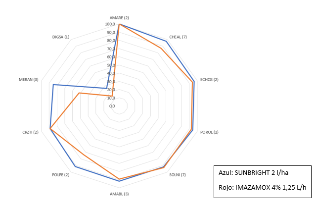 eficacia imazamox sunbright