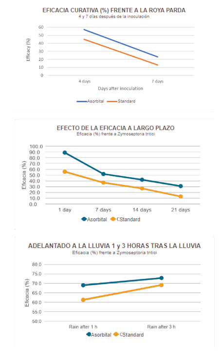 Asorbital pruebas