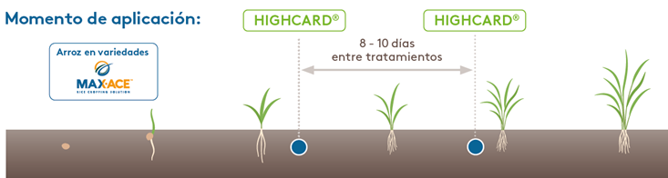 Condiciones de uso highcard