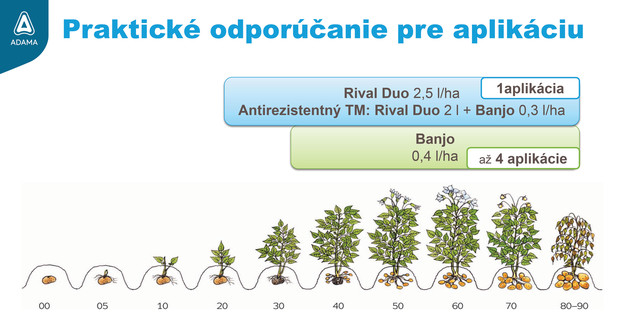 Rival duo - praktické odporúčanie