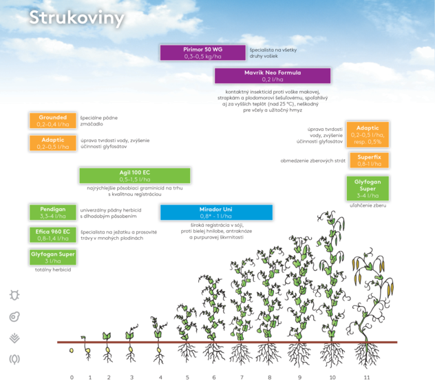 strukoviny