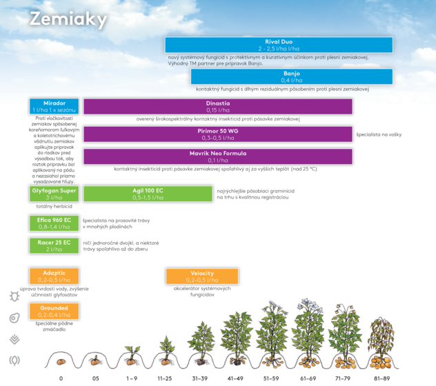 zemiak