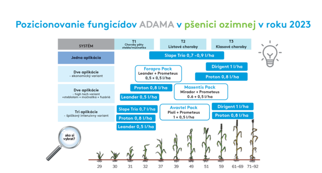 Pozicinovanie-fungicídov-v-pšenici 2023