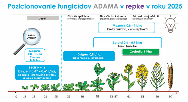 Pozicionovanie fungicídov ADAMA v repke