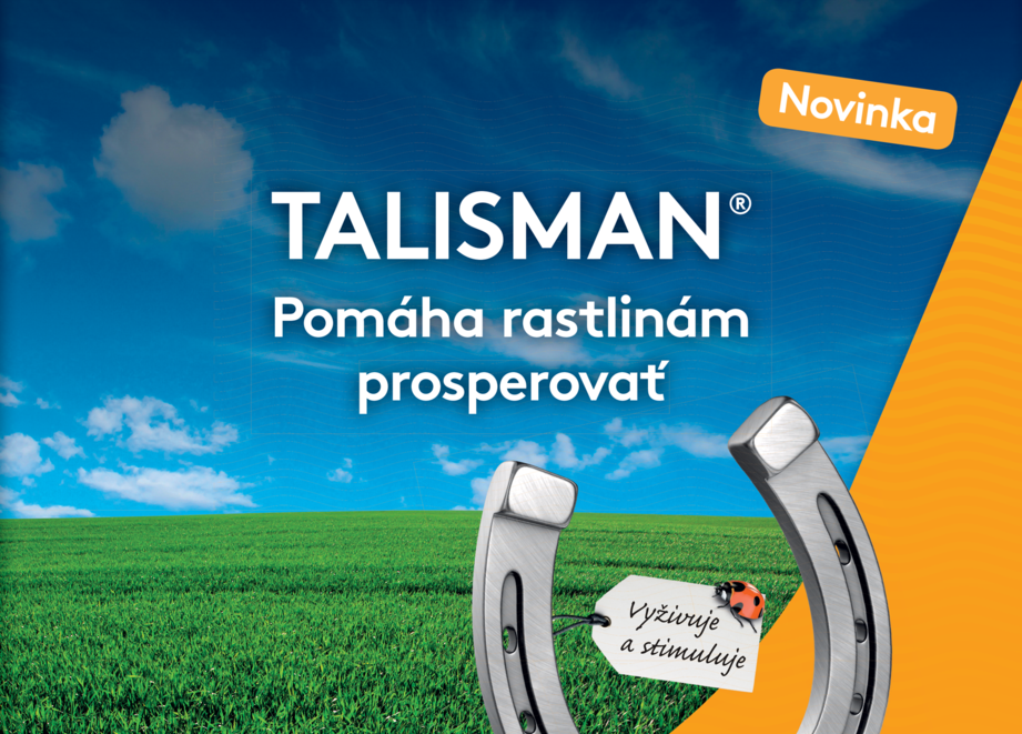 Talisman