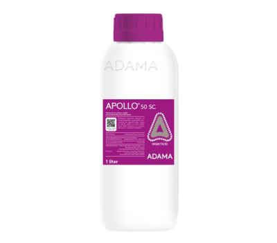 Apollo 50 SC - titulka