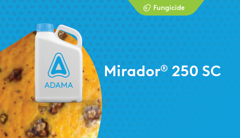 Mirador 250 SC fungicide