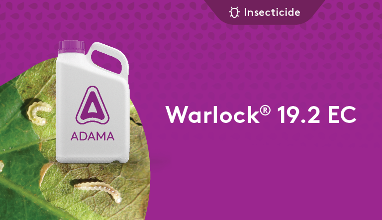 Warlock 19.2 EC insecticide