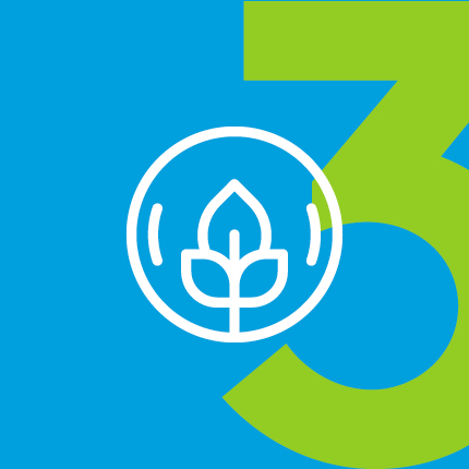 IPM Considerations 3