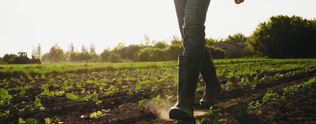 farmer_walkinf_in_field