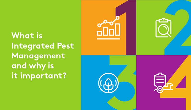 What is IPM and why is it important?