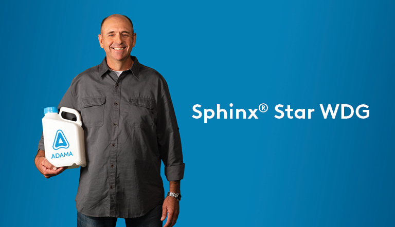 Sphinx® Star WDG Hero