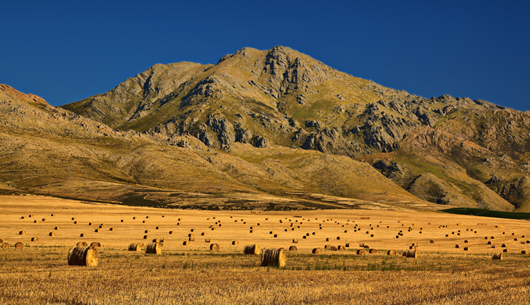 ADAMA-field