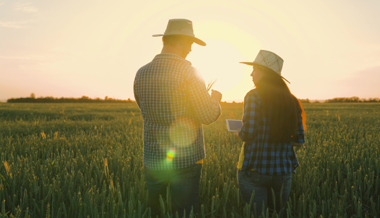 two-farmers-in-a-crop-field