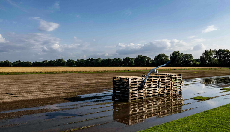 flooded-field-with-wooden-pallets