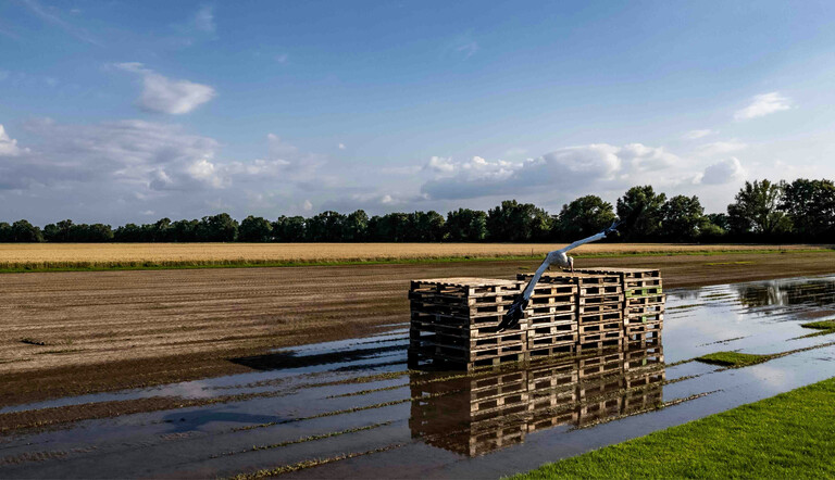 Field with standing water after rainfall, with wooden pallets creating a raised platform
