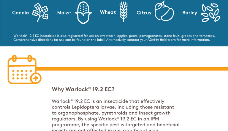 ADAMA Warlock® 19.2 EC Insecticide Infographic