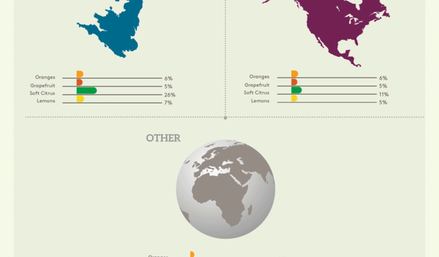 ADAMA-Citrus-Export-Landscape-Infographic-2020.jpg.png