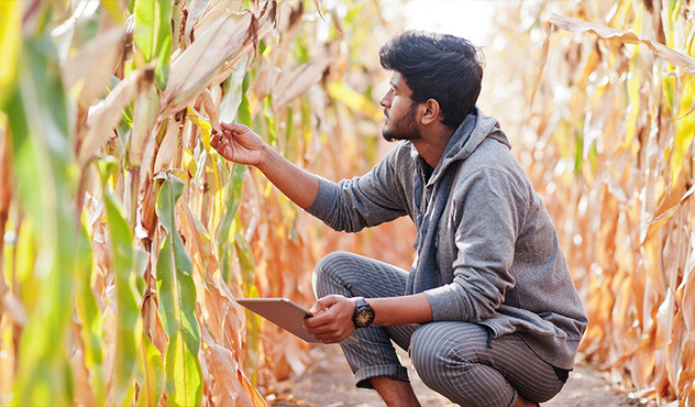 agronomist-farmer-inspect-tech.jpg