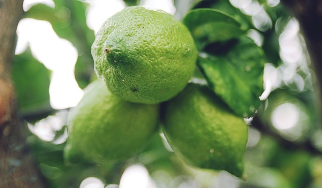 green-citrus-fruits.jpg