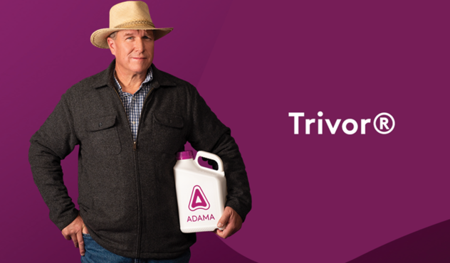 Trivor Featured Image