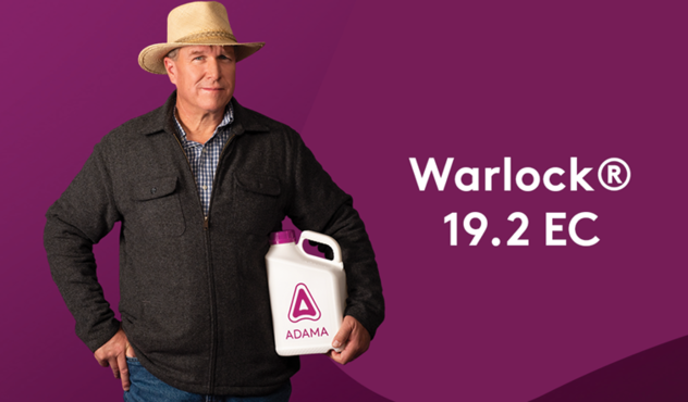 Warlock 19.2 EC Featured Image