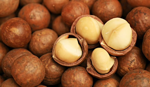 Mature macadamia nuts