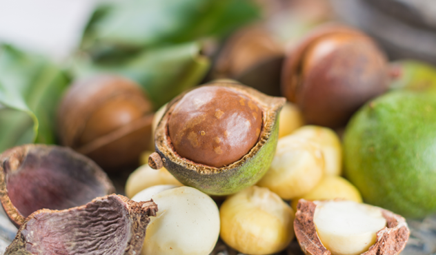 Macadamia nuts