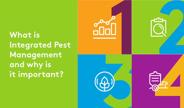 What is IPM?