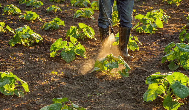 farmer-applying-fertilizer-to-plants