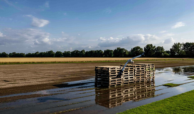 flooded-field-with-wooden-pallets
