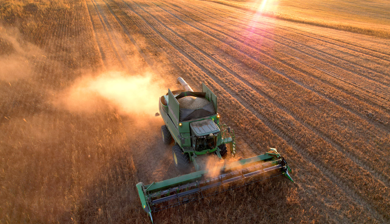 Maize harvest from above