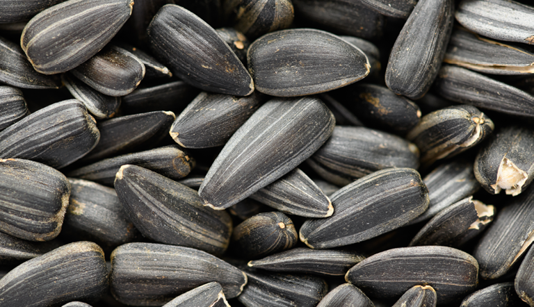 Sunflower seeds