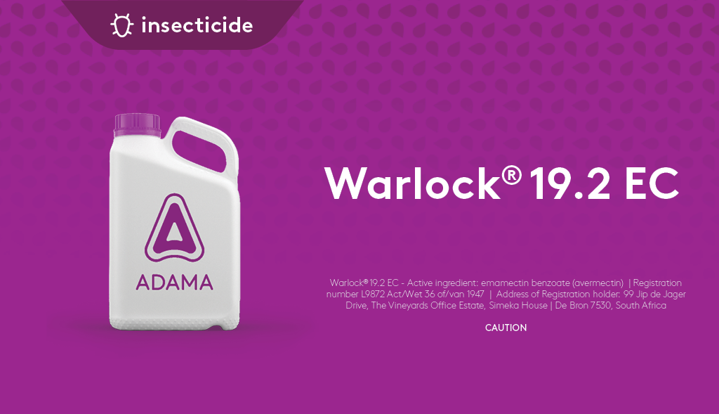warlock-192-ec