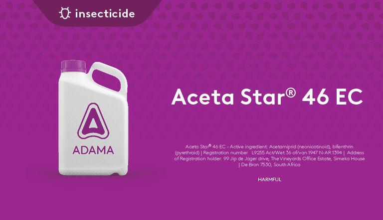 aceta-star-details