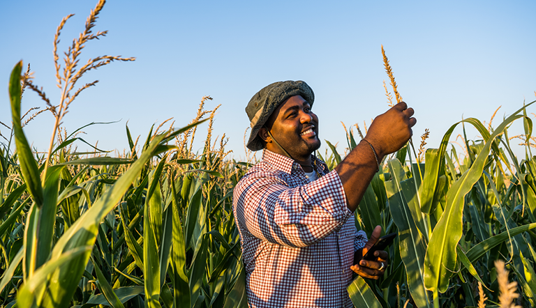farmer-maize-field
