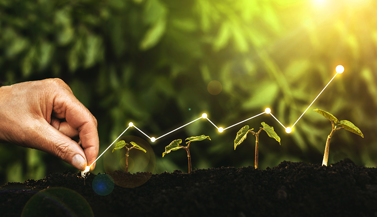 growing-plants