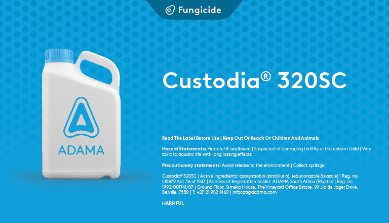 custodia-adama