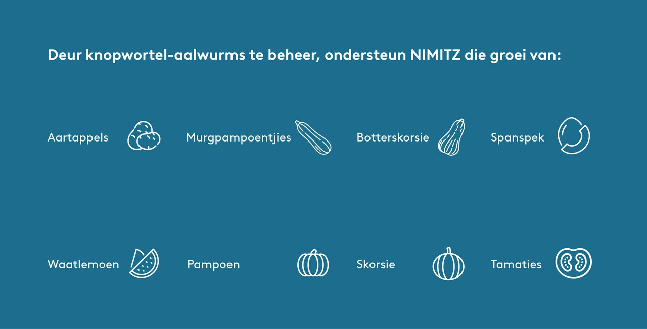 Deur knopwortel-aalwurms te beheer, ondersteun NIMITZ die groei van die gewasse