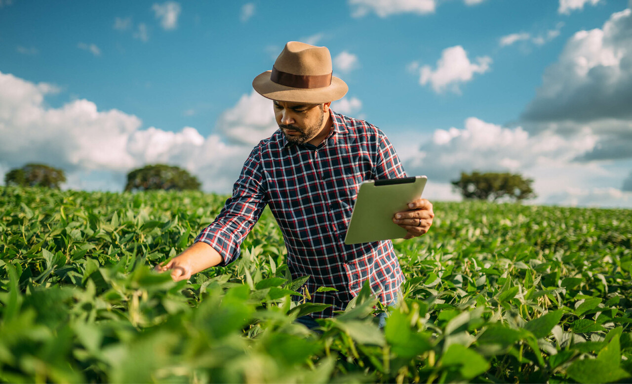 farmer-inspecting-crops-tablet-field