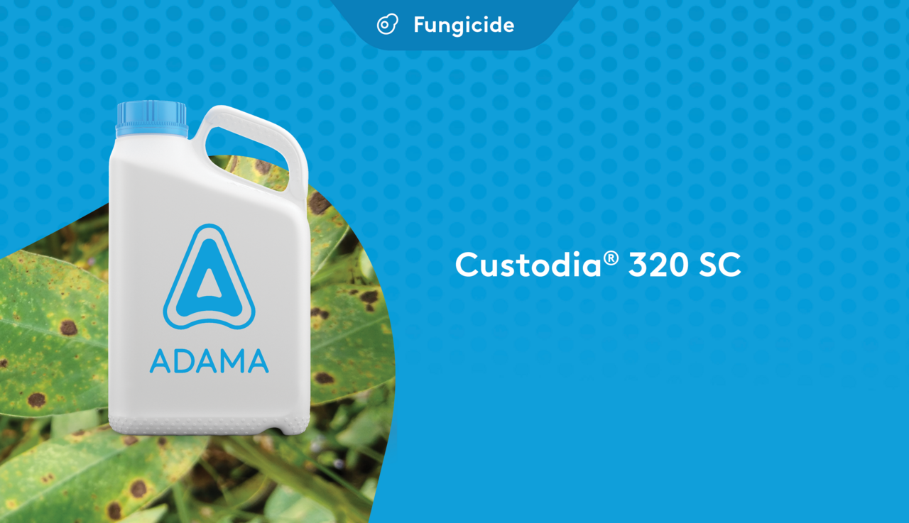 ADAMA Custodia fungicide for groundnuts