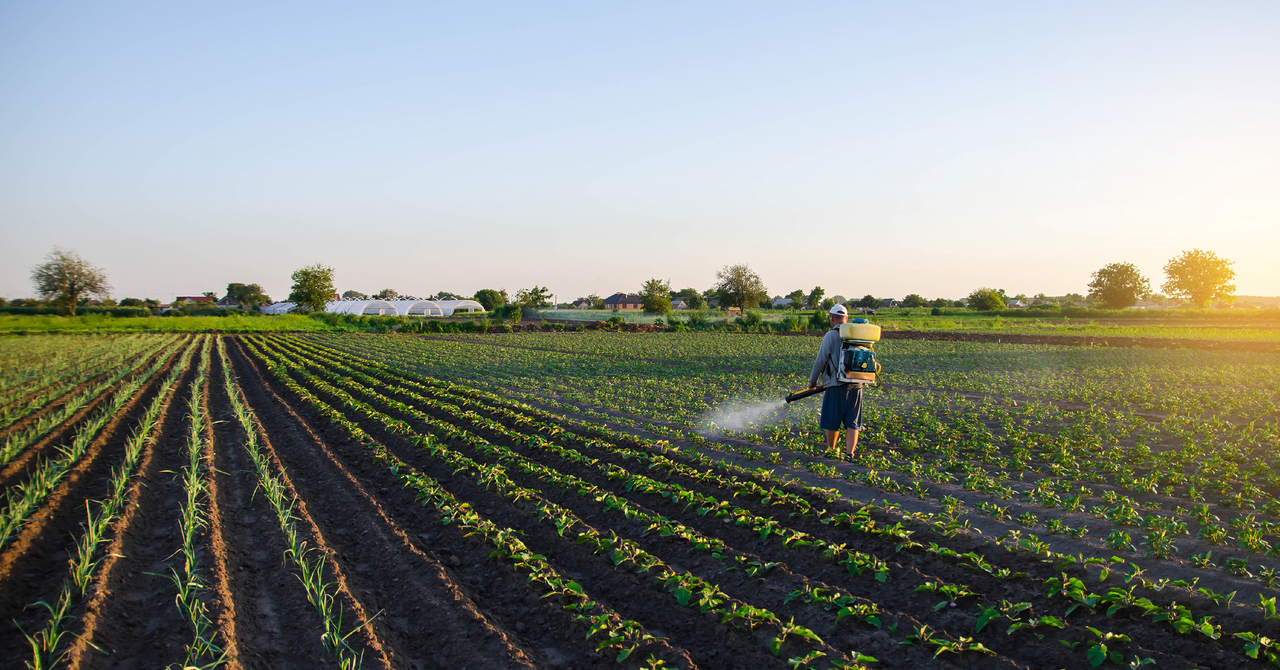 Farmer spraying pesticides