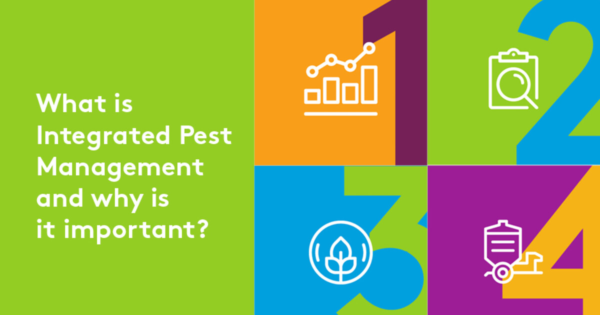 integrated-pest-management-and-why-it-s-important-adama-sa
