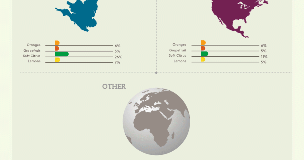 Citrus The Export Landscape 2019/20 ADAMA SA