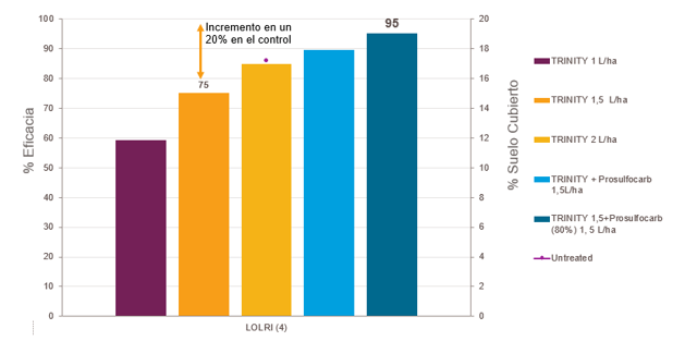 Eficacia sobre vallico