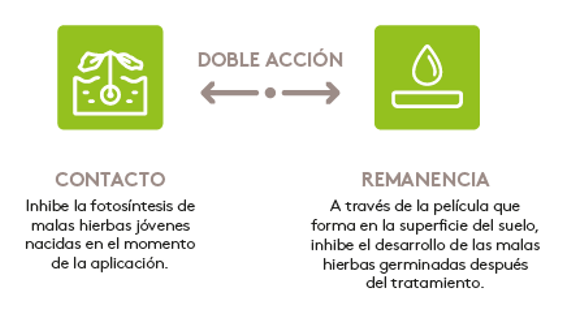 Modo de acción de Sonavio