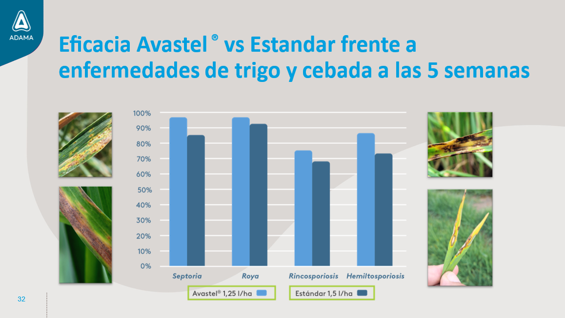 eficacia avastel
