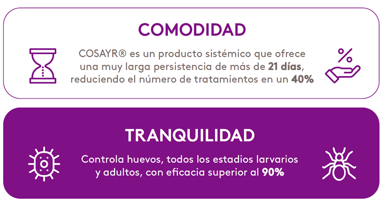 cosayr beneficios