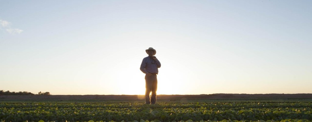 Agricultor en el campo