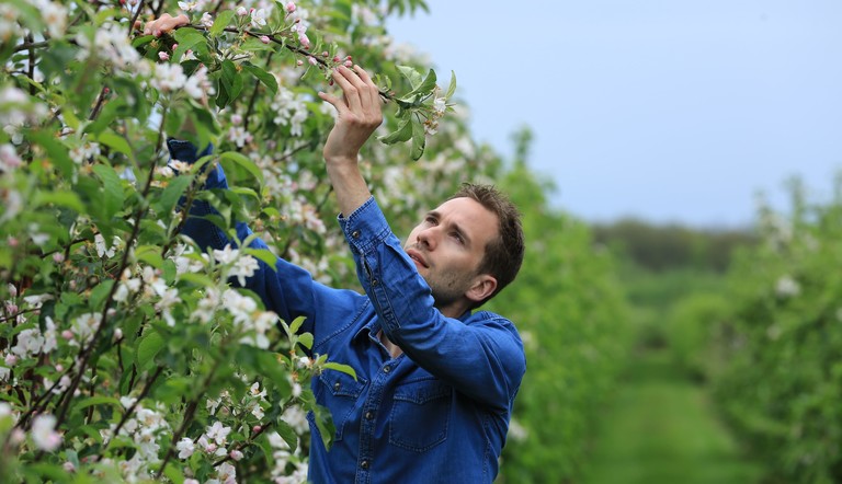 Agricultor 